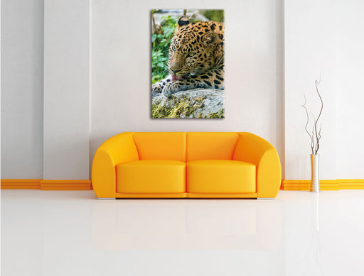 Leopard beim Putzen Leinwandbild über Sofa