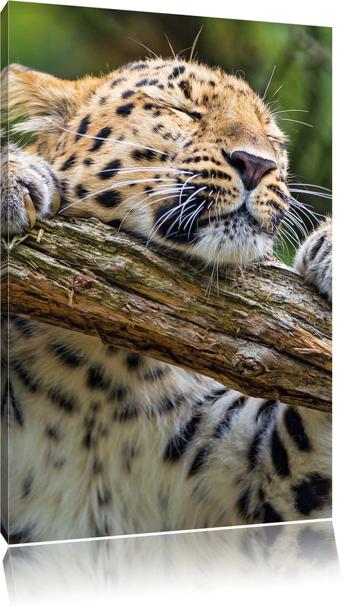 verspielter Leopard Leinwandbild