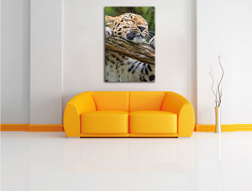 verspielter Leopard Leinwandbild über Sofa
