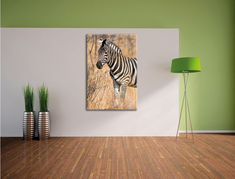 einsames Zebra Leinwandbild im Flur