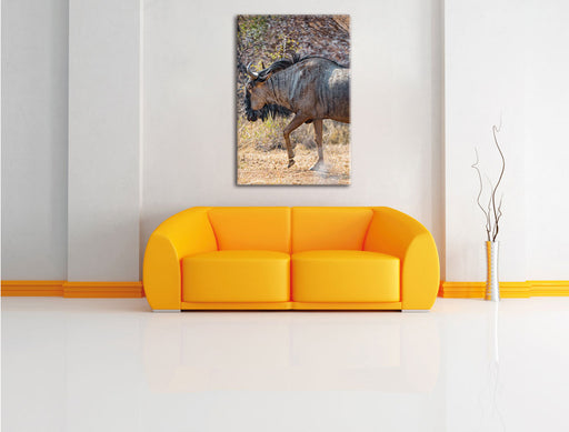 Kaffernbüffel in der Savanne Leinwandbild über Sofa