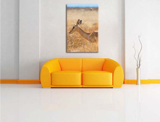 Gazelle im hohen Gras Leinwandbild über Sofa