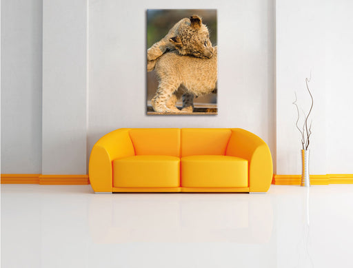 Löwenjunge beim Spielen Leinwandbild über Sofa