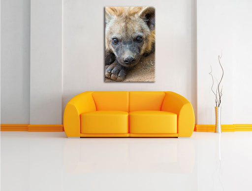 niedliche Hyäne Leinwandbild über Sofa