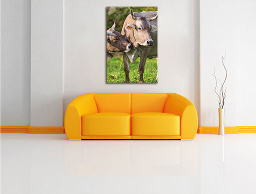 Kühe auf der Weide Leinwandbild über Sofa
