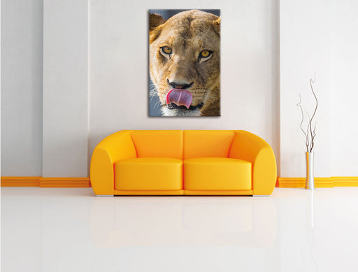 anmutige Löwin Leinwandbild über Sofa