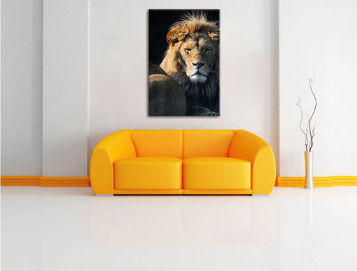 schönes Löwenpaar Leinwandbild über Sofa