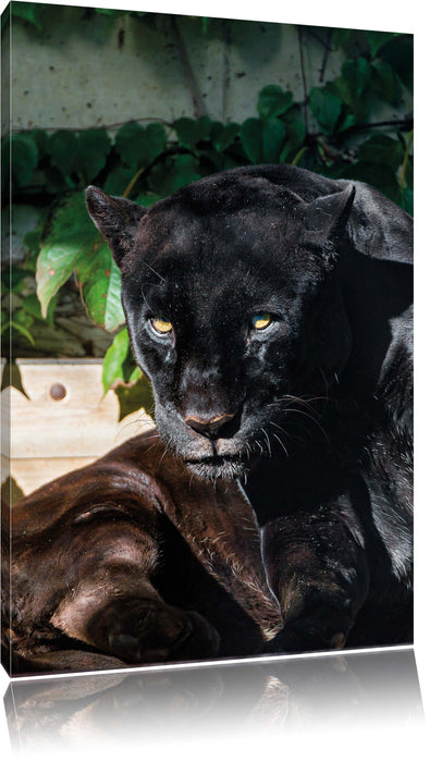 Pixxprint schwarzer Panther, Leinwandbild