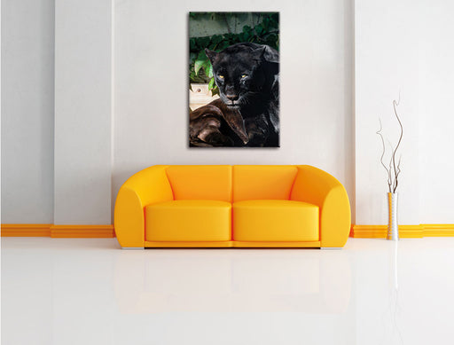 schwarzer Panther Leinwandbild über Sofa