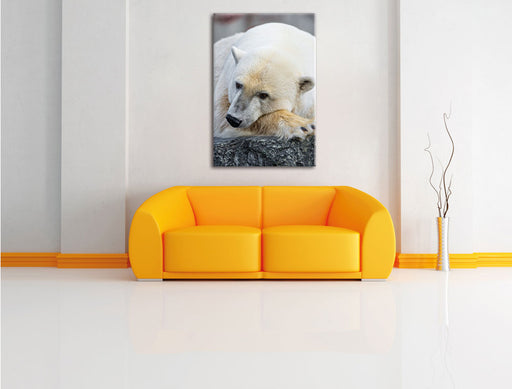 schlafender Eisbär Leinwandbild über Sofa