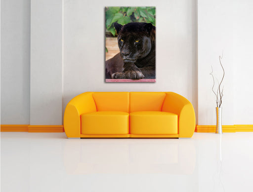 schöner schwarzer Panther Leinwandbild über Sofa