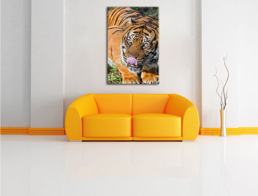 großer Tiger Leinwandbild über Sofa
