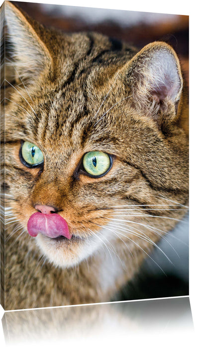 Pixxprint schöne Manul in Schneelandschaft, Leinwandbild