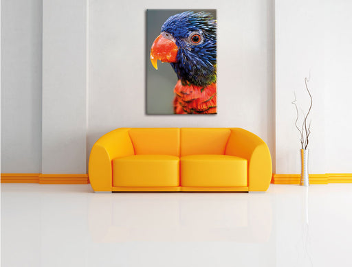 farbenfroher Papagei Leinwandbild über Sofa