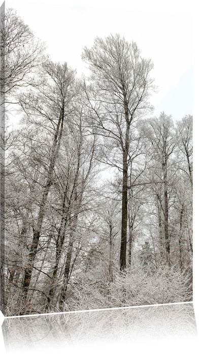 Pixxprint verschneiter Wald, Leinwandbild