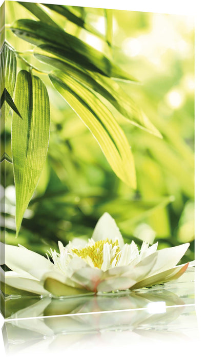Pixxprint Weiße Seerose im Wasser Wellness, Leinwandbild