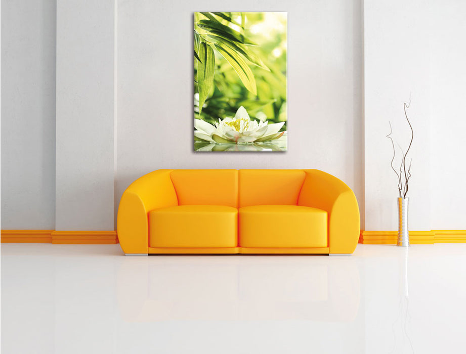 Weiße Seerose im Wasser Wellness Leinwandbild über Sofa