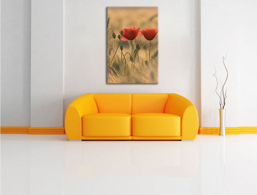 Zwei schöne Mohnblumen Leinwandbild über Sofa