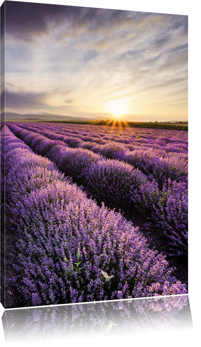 Pixxprint Traumhafte Lavendel Provence, Leinwandbild