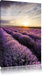 Traumhafte Lavendel Provence Leinwandbild