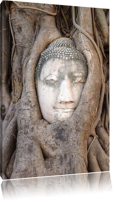 Pixxprint Buddha Kopf im Baum, Leinwandbild