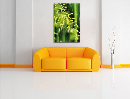 Bambus mit Blättern Leinwandbild über Sofa