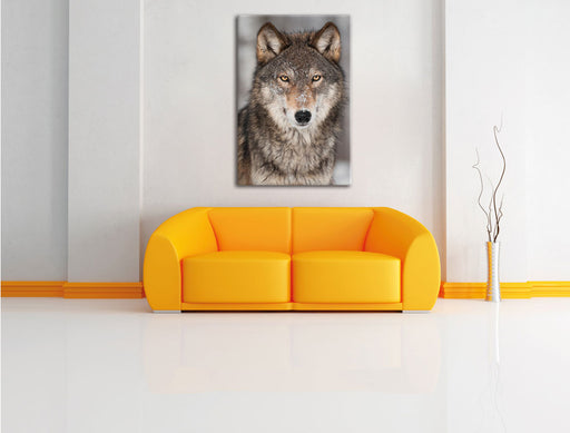 Wachsamer Wolf Leinwandbild über Sofa