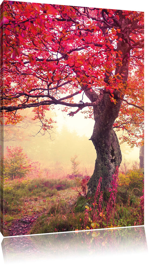 Traumhafte Herbstlandschaft Leinwandbild