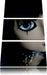 Pullip mit strahlend blau Augen Leinwandbild 3 Teilig