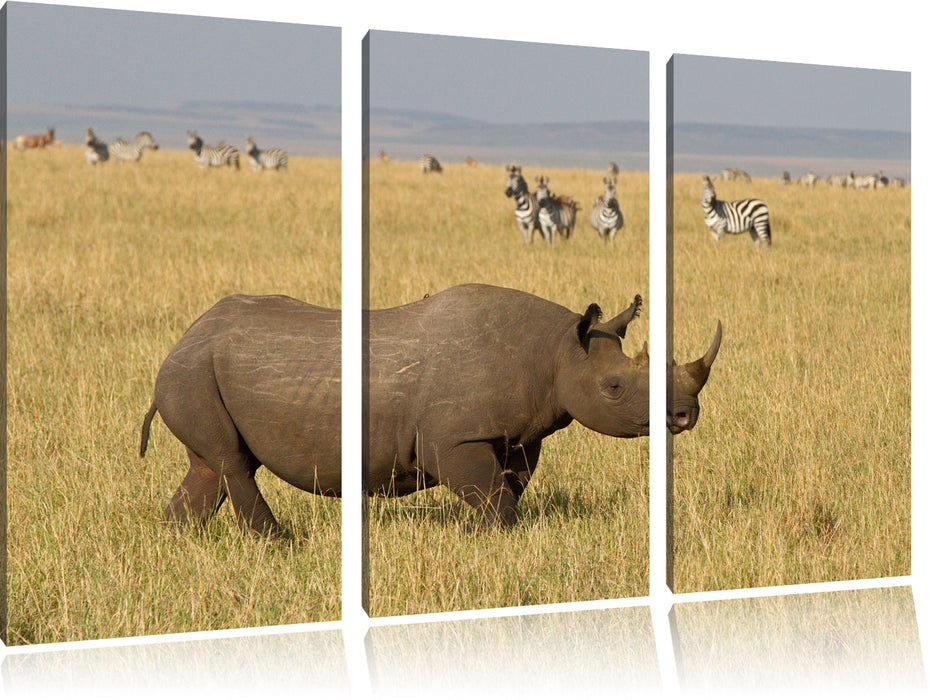 großes Nashorn mit Zebrahorde Leinwandbild 3 Teilig