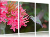 Kolibri an Blüte Leinwandbild 3 Teilig