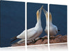 außergewöhnliche Vögel am Meer Leinwandbild 3 Teilig