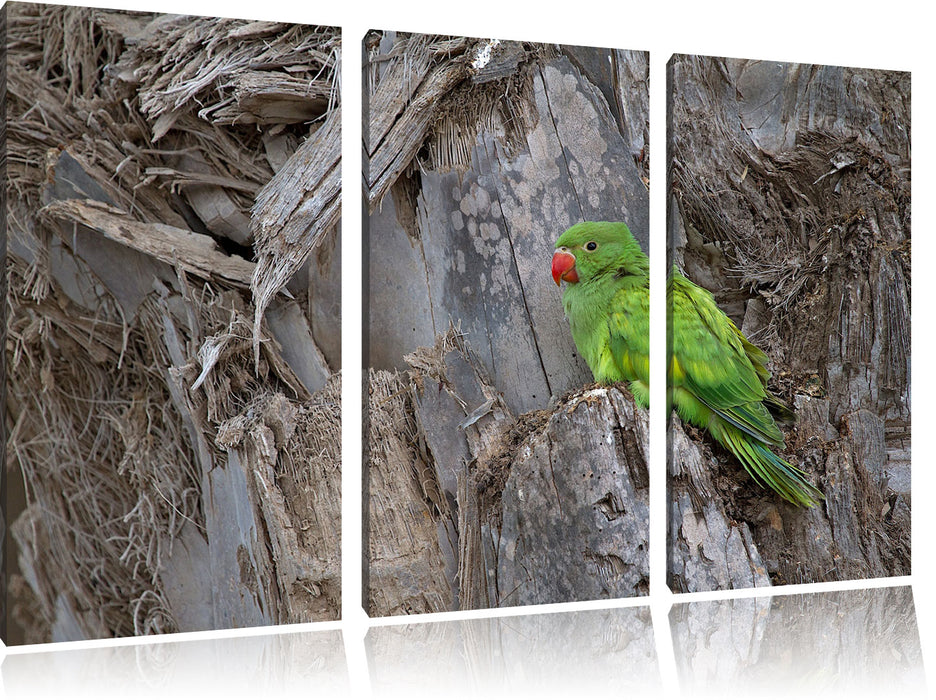 grüner Papagei im Gehölz Leinwandbild 3 Teilig