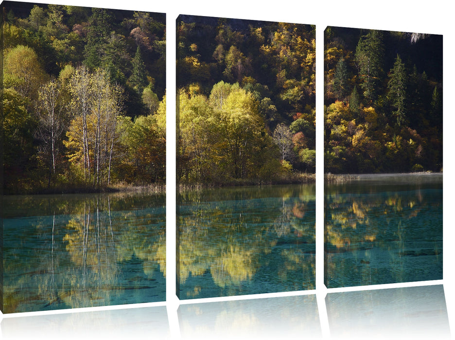 herbstlicher Wald am See Leinwandbild 3 Teilig