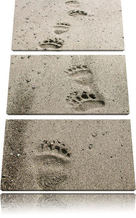 Tierspuren im Sand Leinwandbild 3 Teilig