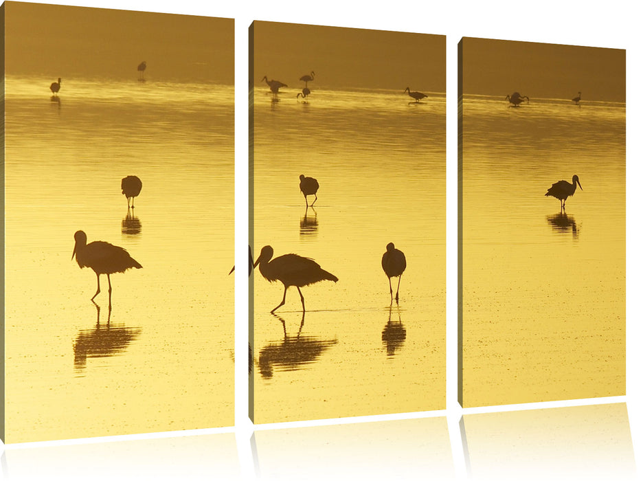 Pelikanschwarm im Wasser Leinwandbild 3 Teilig