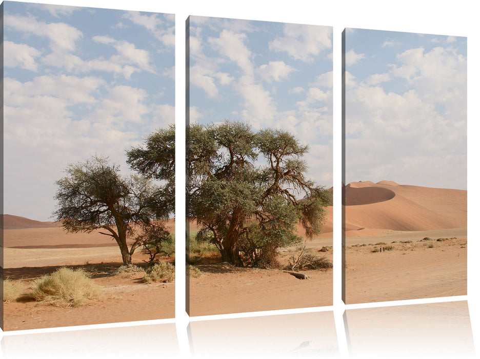 Bäume in Wüstenlandschaft Leinwandbild 3 Teilig