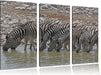 Zebraherde am Wasserloch Leinwandbild 3 Teilig