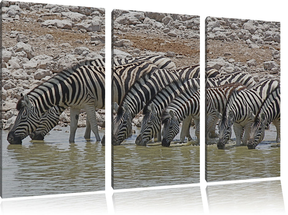 Zebraherde am Wasserloch Leinwandbild 3 Teilig