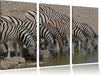 Zebrafamilie an einem Wasserloch Leinwandbild 3 Teilig