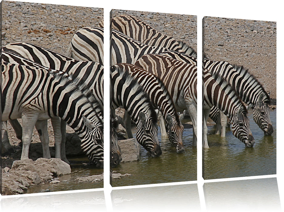 Zebrafamilie an einem Wasserloch Leinwandbild 3 Teilig