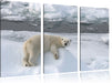 Eisbär auf Eisberg Leinwandbild 3 Teilig