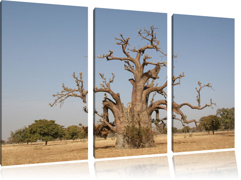 vertrockneter Baum in der Savanne Leinwandbild 3 Teilig