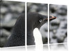 niedlicher Adeliepinguine Leinwandbild 3 Teilig