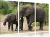 Elefantenkuh neben Jungtier Leinwandbild 3 Teilig