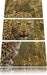 Leopard beobachtet Umgebung Leinwandbild 3 Teilig