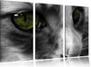 kleine Katze im Seitenprofil Leinwandbild 3 Teilig