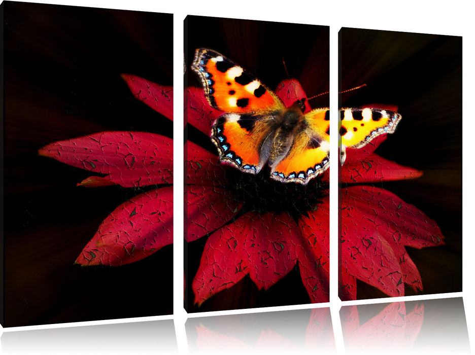 Schmetterling auf roter Blüte Leinwandbild 3 Teilig