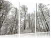 verschneiter Wald Leinwandbild 3 Teilig