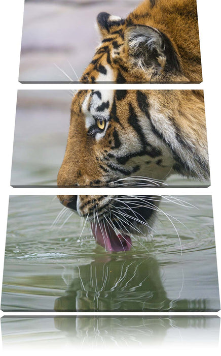 Tiger am Wasserloch Leinwandbild 3 Teilig